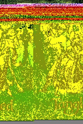 Tangled (2010) 0004 AFİŞ - POSTER ( FOLYO ) - AFİŞ - POSTER-6349