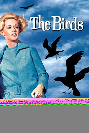 The Birds (1963) 1 AFİŞ - POSTER ( FOLYO ) - AFİŞ - POSTER-6605