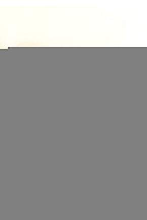 The Bounty (1984) AFİŞ - POSTER ( FOLYO ) - AFİŞ - POSTER-6637