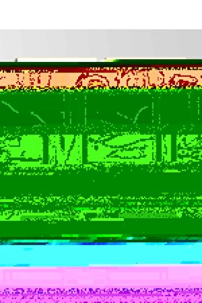 Matisse - Sanat - Soyut - Doğa - Ev - Yaşam ( 2 Li Çerçevesiz ) Poster - Afiş - Tablo NNHT324