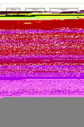 Matisse - Sanat - Soyut - Doğa - Yaşam ( Tekli Çerçevesiz ) Poster - Afiş - Tablo MKKM1710