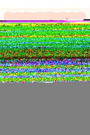 Kingdom of the Planet of the Apes (2024) 0008 ( FOLYO ) - AFİŞ - POSTER-4183