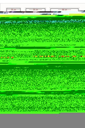 Matisse - Sanat - Soyut - Doğa - Yaşam ( Tekli Çerçevesiz ) Poster - Afiş - Tablo MKKM1982