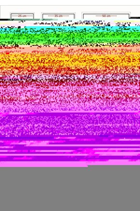 Matisse - Sanat - Soyut - Doğa - Yaşam ( Tekli Çerçevesiz ) Poster - Afiş - Tablo MKKM2039