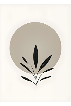 Metin Türkcan ( Vakti Geldi ) CD Ambalajında