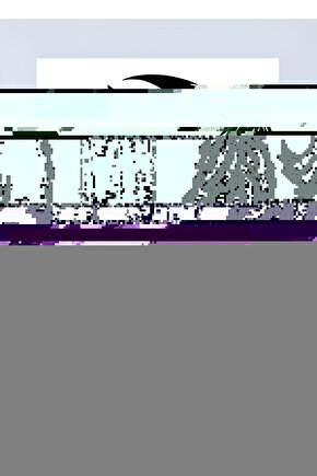 Matisse - Sanat - Soyut - Doğa - Ev - Yaşam ( 2 Li Çerçevesiz ) Poster - Afiş - Tablo NNHT390