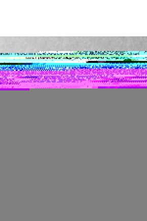 Matisse - Boho - Art Deco - Soyut - Doğa ( 3 lü Çerçevesiz ) Poster - Afiş - Tablo KR2C00017