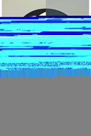 Matisse - Boho - Art Deco - Soyut - Doğa ( 3 lü Çerçevesiz ) Poster - Afiş - Tablo KR2C00193