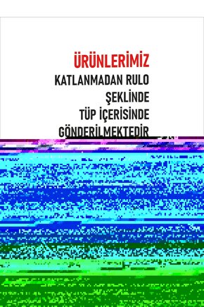 Matisse - Boho - Art Deco - Soyut - Doğa ( 3 lü Çerçevesiz ) Poster - Afiş - Tablo KR2C01105