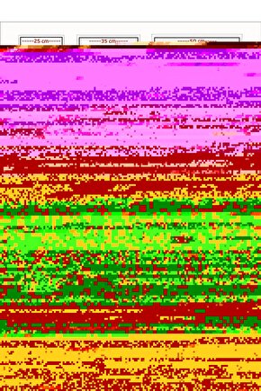 Matisse - Boho - Art Deco - Soyut - Doğa ( 3 lü Çerçevesiz ) Poster - Afiş - Tablo KR2C00934