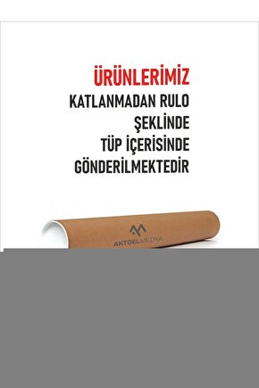 Matisse - Boho - Art Deco - Soyut - Doğa ( 3 lü Çerçevesiz ) Poster - Afiş - Tablo KR2C00198