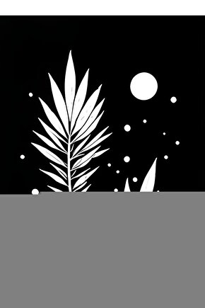 Matisse - Boho - Art Deco - Soyut - Doğa ( 3 lü Çerçevesiz ) Poster - Afiş - Tablo KR2C01098