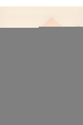 Matisse - Sanat - Soyut - Doğa - Ev - Yaşam ( 2 Li Çerçevesiz ) Poster - Afiş - Tablo NNHT283