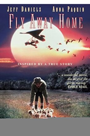 Matisse - Sanat - Soyut - Doğa - Yaşam ( Tekli Çerçevesiz ) Poster - Afiş - Tablo MKKM1518