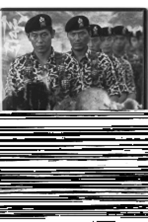 Matisse - Sanat - Soyut - Doğa - Yaşam ( Tekli Çerçevesiz ) Poster - Afiş - Tablo MKKM1893