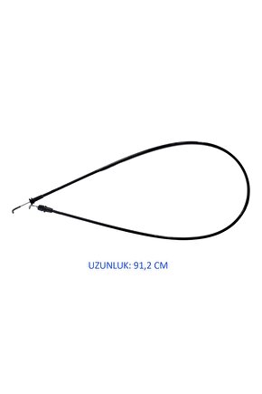 Matisse - Sanat - Soyut - Doğa - Yaşam ( Tekli Çerçevesiz ) Poster - Afiş - Tablo MKKM2316