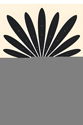 Mercedes C Sınıf (w202-w203) Için Sunroof Perde Izgarası- Siyah 2li