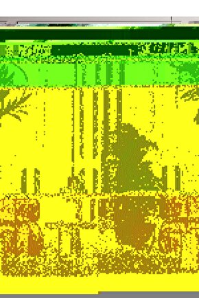 Matisse - Sanat - Soyut - Doğa - Yaşam ( Tekli Çerçevesiz ) Poster - Afiş - Tablo MKKM1268