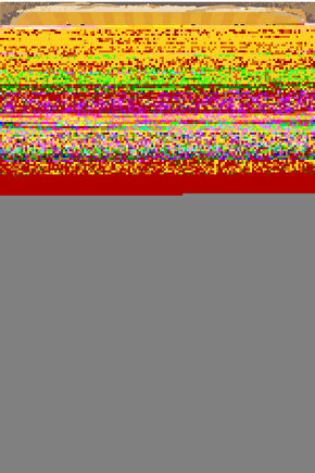 Matisse - Sanat - Soyut - Doğa - Yaşam ( Tekli Çerçevesiz ) Poster - Afiş - Tablo MKKM1109