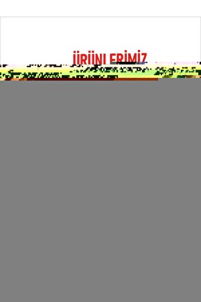 Dikkat Köpek Var Uyarı Levhası Tabela Tarz Retro Ahşap Poster 815