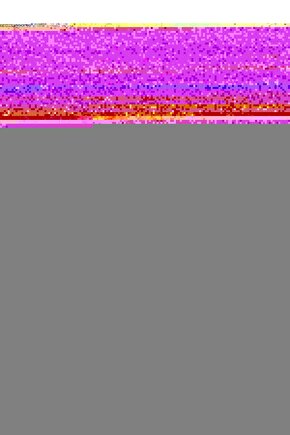 Matisse - Boho - Art Deco - Soyut - Doğa ( 3 lü Çerçevesiz ) Poster - Afiş - Tablo KR2C00191