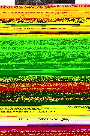 Matisse - Boho - Art Deco - Soyut - Doğa ( 3 lü Çerçevesiz ) Poster - Afiş - Tablo KR2C00042