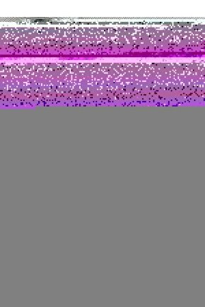 Matisse - Boho - Art Deco - Soyut - Doğa ( 3 lü Çerçevesiz ) Poster - Afiş - Tablo KR2C00002