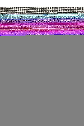 Matisse - Boho - Art Deco - Soyut - Doğa ( 3 lü Çerçevesiz ) Poster - Afiş - Tablo KR2C01063