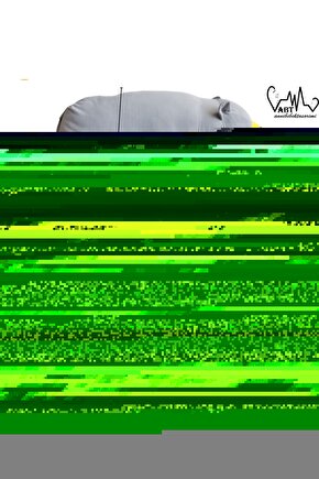 Matisse - Boho - Art Deco - Soyut - Doğa ( 3 lü Çerçevesiz ) Poster - Afiş - Tablo KR2C00288