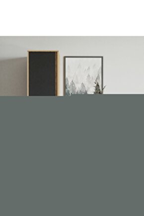 Koruyucu ( Safe) Blu-ray Disc