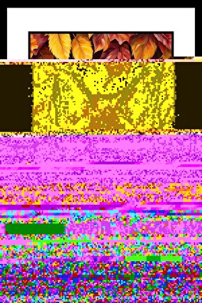 Anne Tilki Digital Art ( ÇERÇEVESİZ - ÇERÇEVE YOKTUR ) ( ULTRA HD ) FOLYO AFİŞ - POSTER