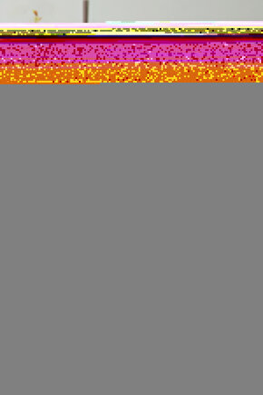 Pembeli Balerin Digital Art ( ÇERÇEVESİZ - ÇERÇEVE YOKTUR ) ( ULTRA HD ) FOLYO AFİŞ - POSTER