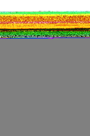 Çiçekler İçinde Digital Art ( ÇERÇEVESİZ - ÇERÇEVE YOKTUR ) ( ULTRA HD ) FOLYO AFİŞ - POSTER