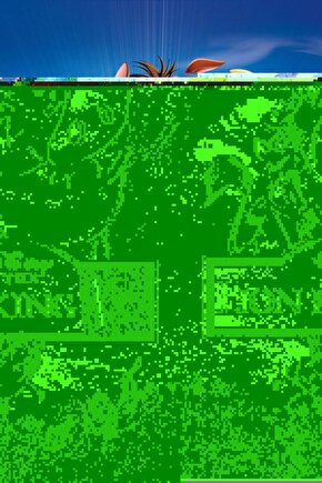 The Lion King 3 (2004) 3 AFİŞ - POSTER ( FOLYO ) - AFİŞ - POSTER-7445