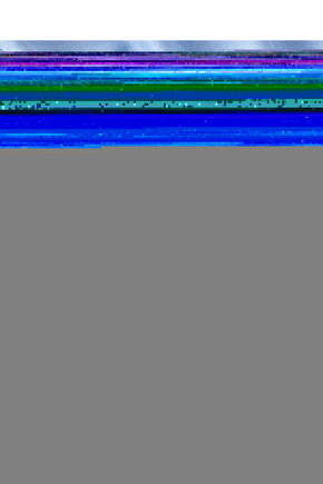 The Lion King 3 (2004) 3 AFİŞ - POSTER ( FOLYO ) - AFİŞ - POSTER-7445