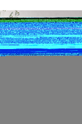 The Mummy Tomb of the Dragon Emperor (2008) AFİŞ - POSTER ( FOLYO ) - AFİŞ - POSTER-7654