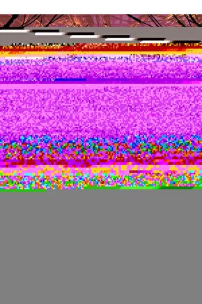 Colour comb Porselen 4 parça 2 Kişilik Kahve Fincanı