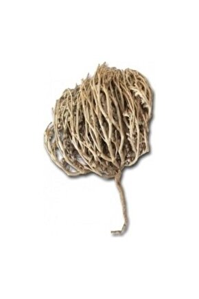 Dökme Bitkiler Meryem Ana Eliotu - 1 Adet