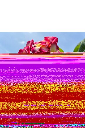 The Cotton Club (1984) AFİŞ - POSTER ( FOLYO ) - AFİŞ - POSTER-6719