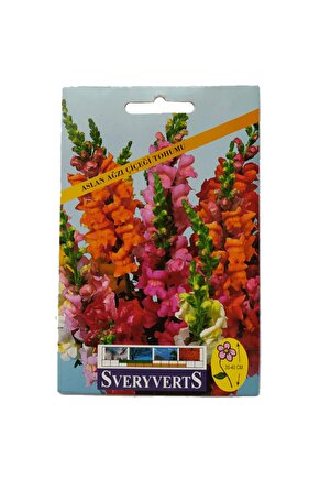 The Batman (2022) 24 AFİŞ - POSTER ( FOLYO ) - AFİŞ - POSTER-6580