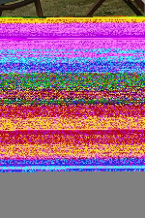 The Birdcage (1996) 1 AFİŞ - POSTER ( FOLYO ) - AFİŞ - POSTER-6603