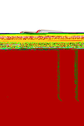 iPhone 13 Pro Max Arka kapak Kılıf Kırmızı kenarlı rose