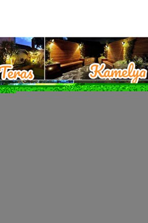 A Shot in the Dark (1964) ( FOLYO ) - AFİŞ - POSTER-1127