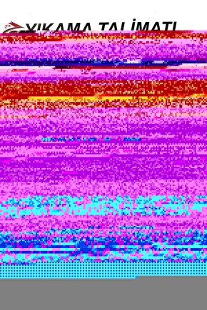 Matisse - Sanat - Soyut - Doğa - Ev - Yaşam ( 2 Li Çerçevesiz ) Poster - Afiş - Tablo NNHT301