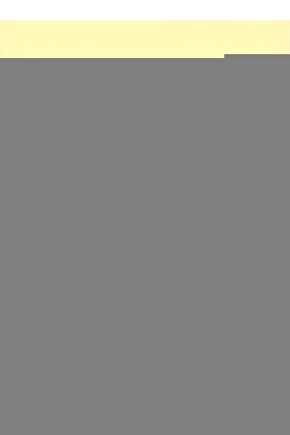 Brother Reçme Etek Bant İğne Bağı 6.4Mm  S08713-001