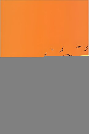 Katlanır Klozet (KOMOT)