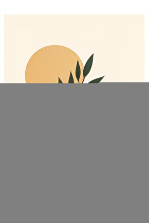 Wipperman Marka Katlanabilir Tekerlekli Yürüteç (WALKER) Ithal