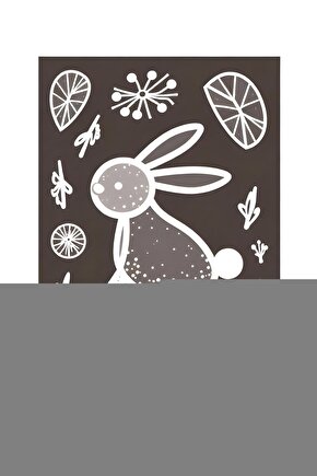 Lumbosacral Bel Destek Korsesi