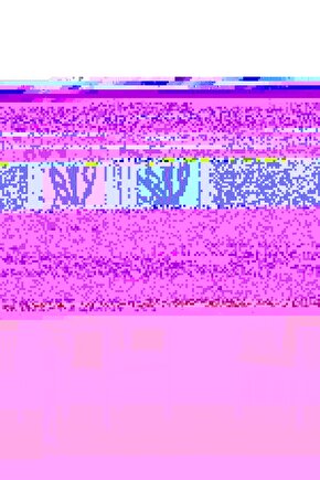 Matisse - Sanat - Soyut - Doğa - Ev - Yaşam ( 2 Li Çerçevesiz ) Poster - Afiş - Tablo NNHT557