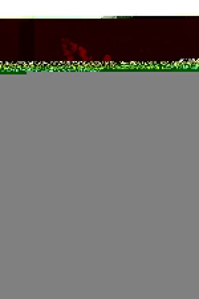 Lenovo TAB M8 HD TB-8505F 8 Uyumlu Üniversal Dönerli Standlı Tablet Kılıfı+Dokunmatik Kalem